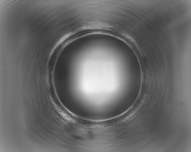 X0000059051114200510101004