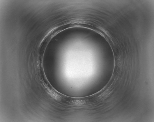 X0000059051115200510101004