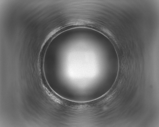 X0000059051122200510101005