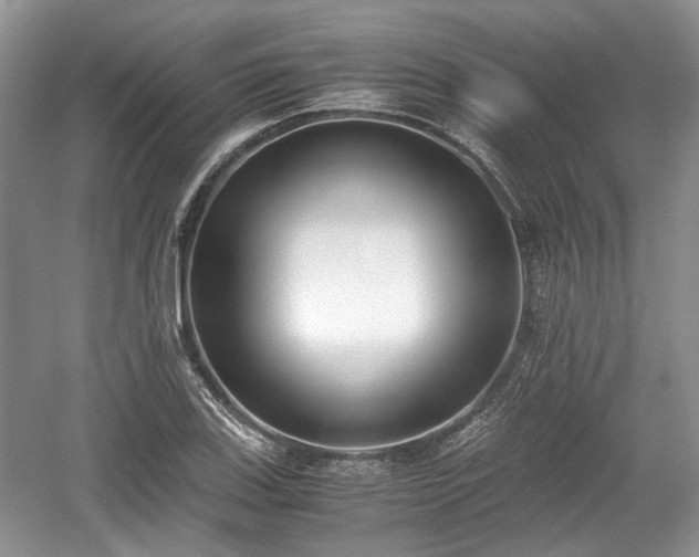 X0000059051123200510101005