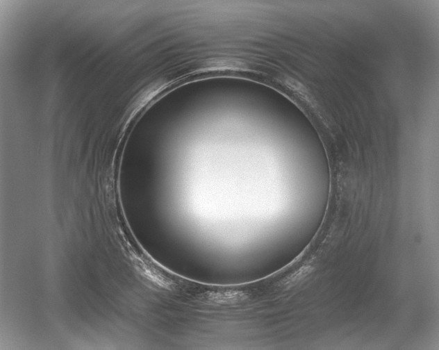 X0000059051129200510101005