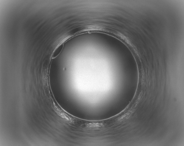 X0000059051137200510101005