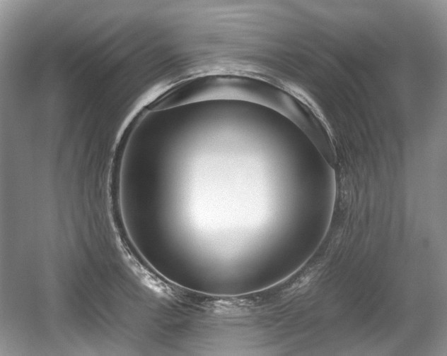 X0000059051138200510101005