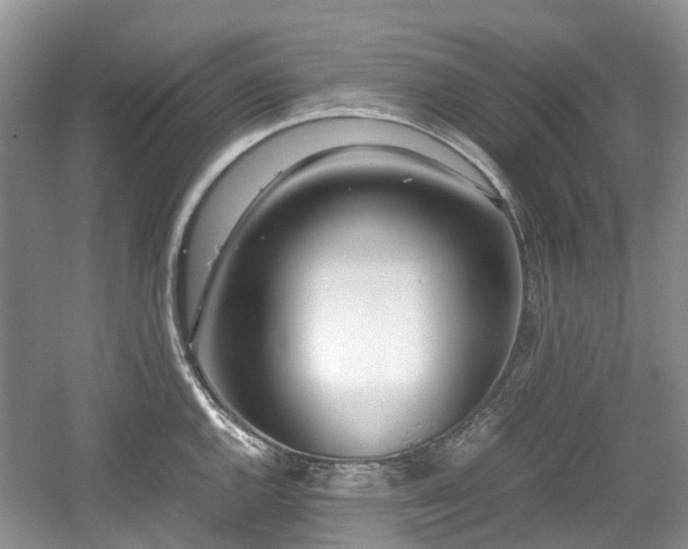 X0000059051144200510101005