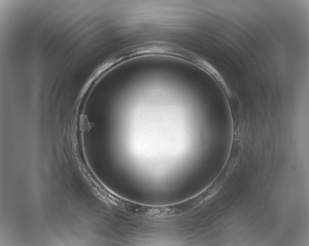 X0000059051146200510101005