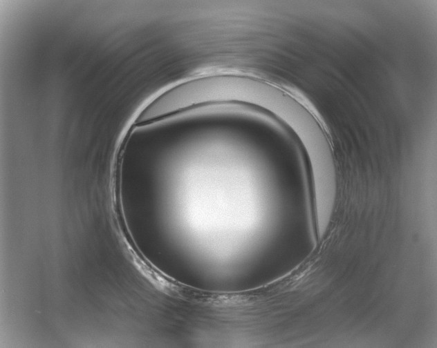 X0000059051148200510101005