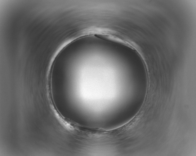 X0000059051152200510101005