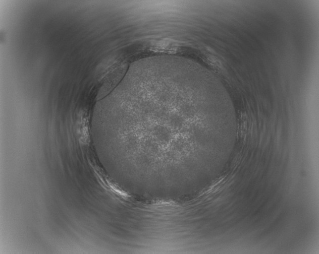 X0000059051154200510101004
