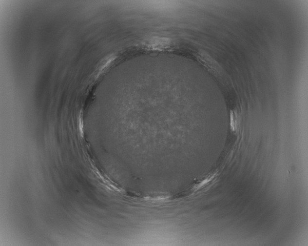 X0000059051155200510101004