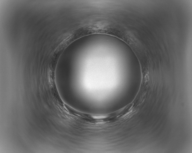 X0000059051156200510101004