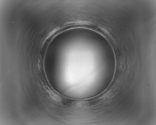 X0000059051163200510101004