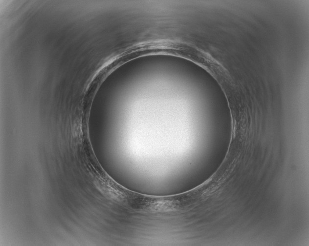 X0000059051166200510101004