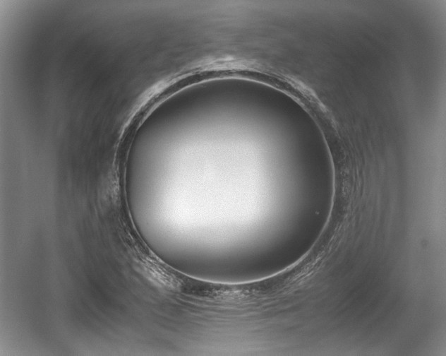 X0000059051167200510101004