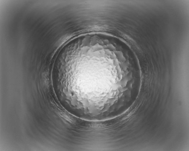 X0000059051170200510101004