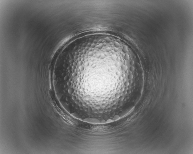 X0000059051171200510101004