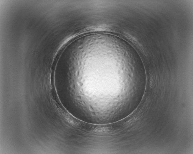 X0000059051174200510101004
