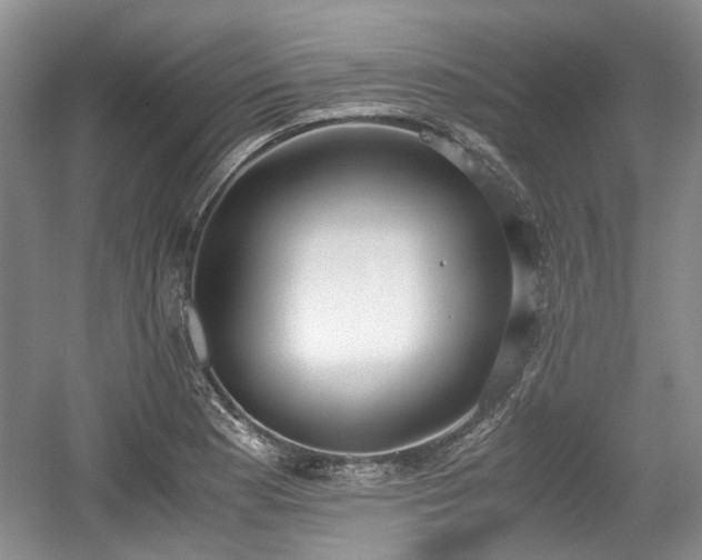 X0000059051177200510101004