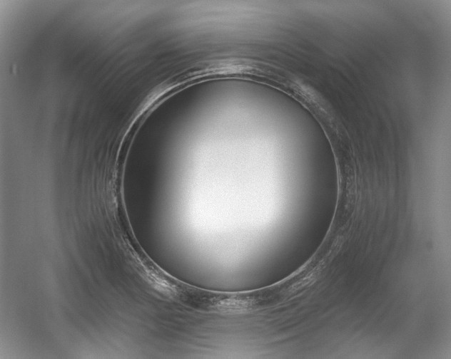 X0000059051178200510101004