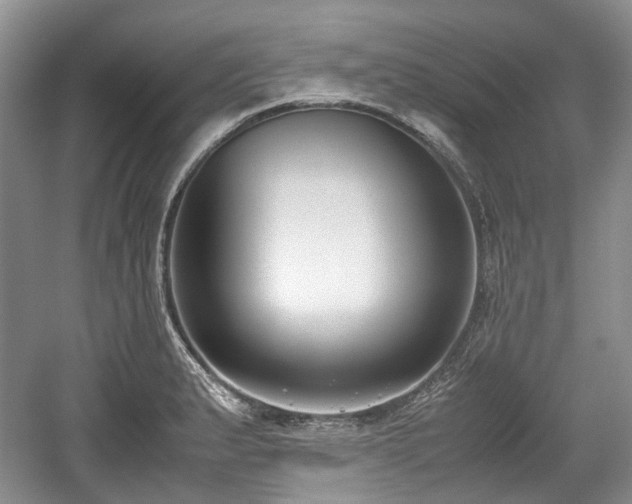 X0000059051183200510101004