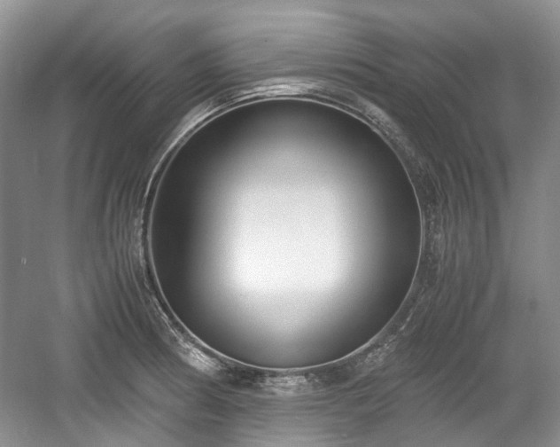 X0000059051186200510101004