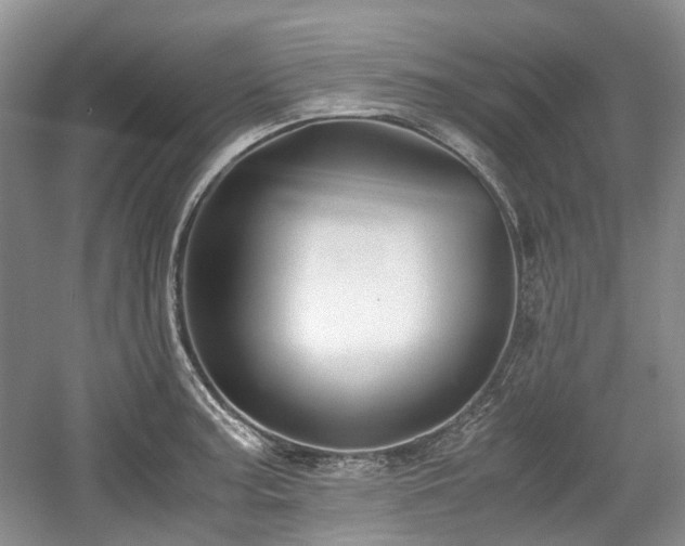 X0000059051187200510101004