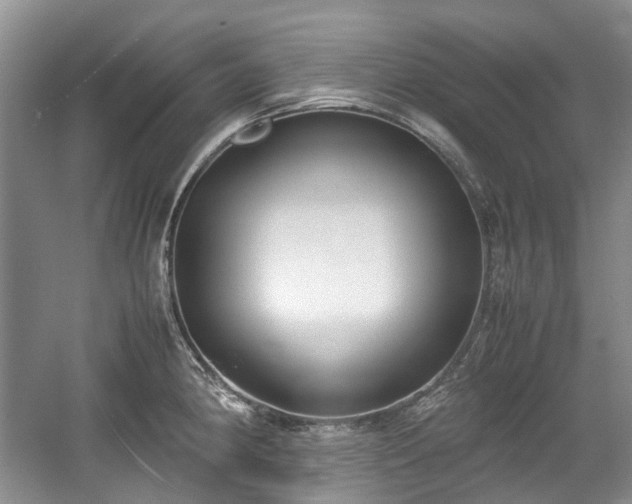 X0000059051190200510101004