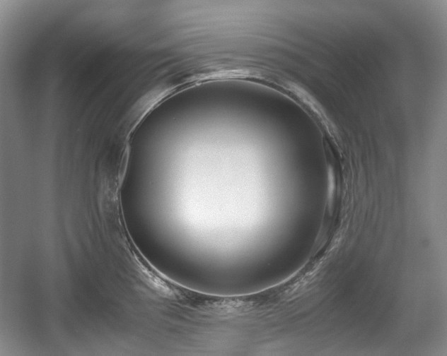 X0000059051193200510101004