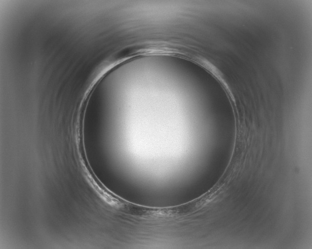 X0000059051195200510101004