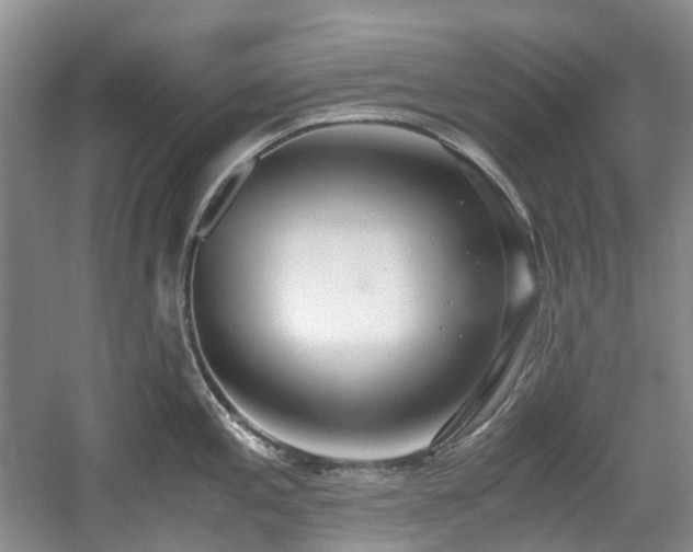 X0000059051197200510101004