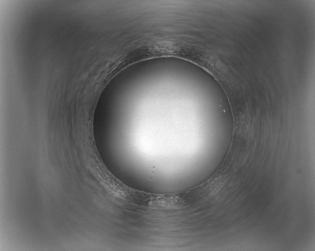 X0000059051201200510101003