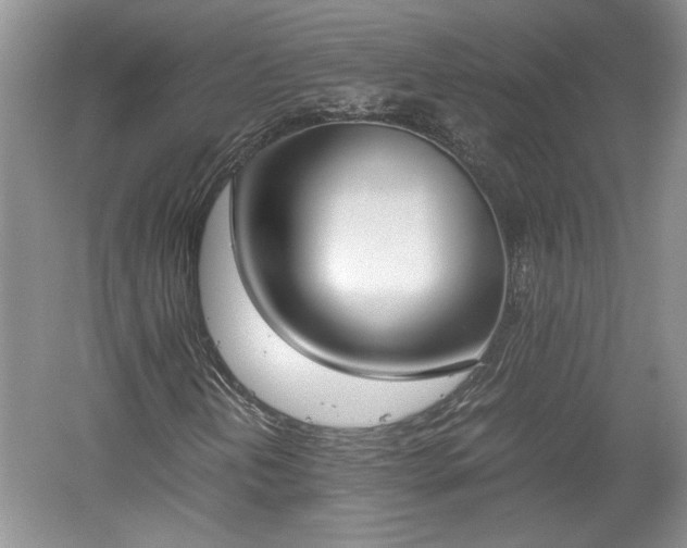 X0000059051202200510101003