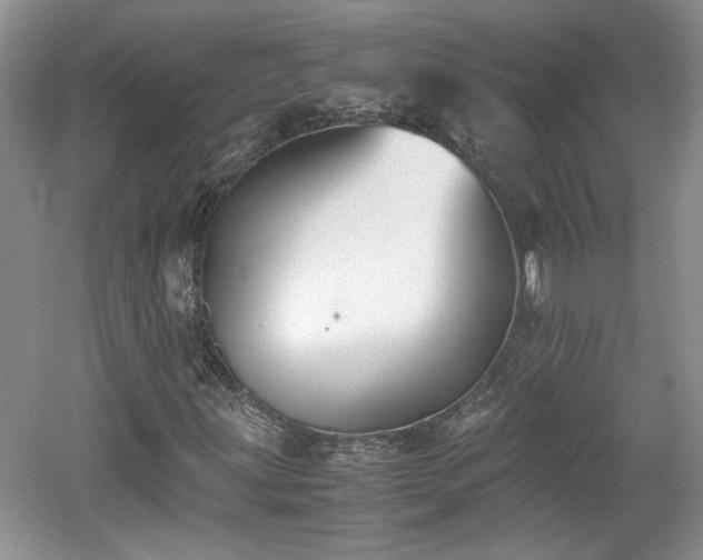 X0000059051203200510101003