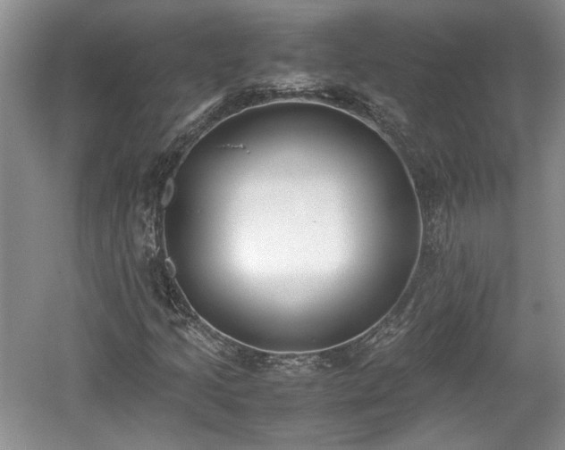 X0000059051205200510101003