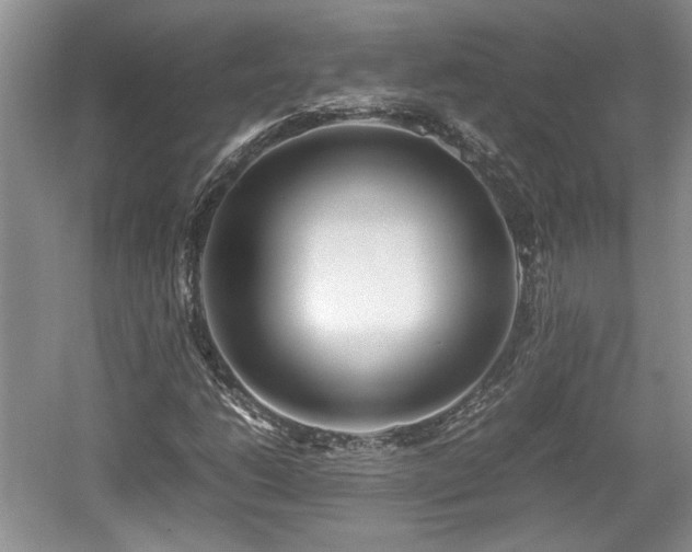 X0000059051206200510101003