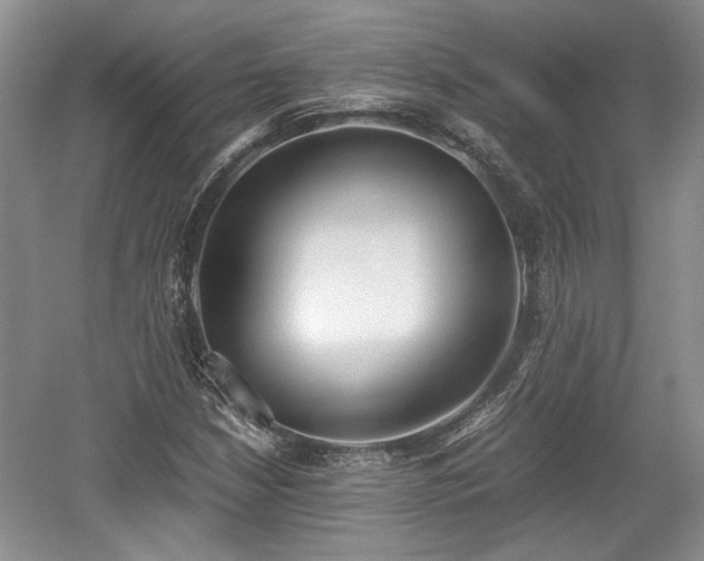 X0000059051210200510101003