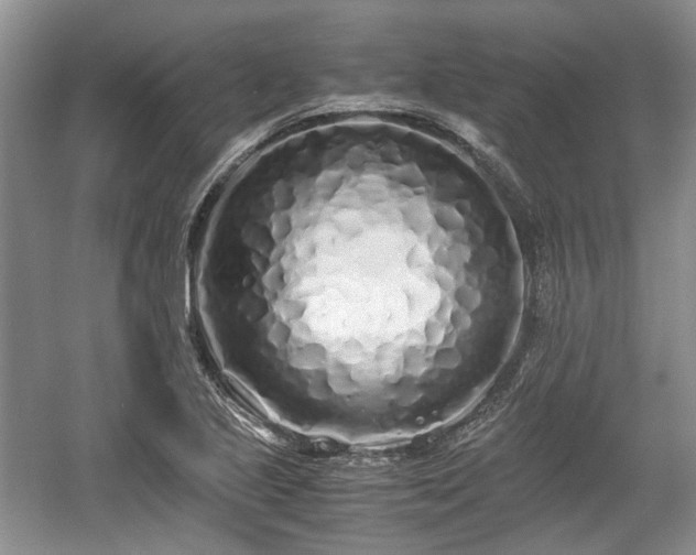 X0000059051221200510101003