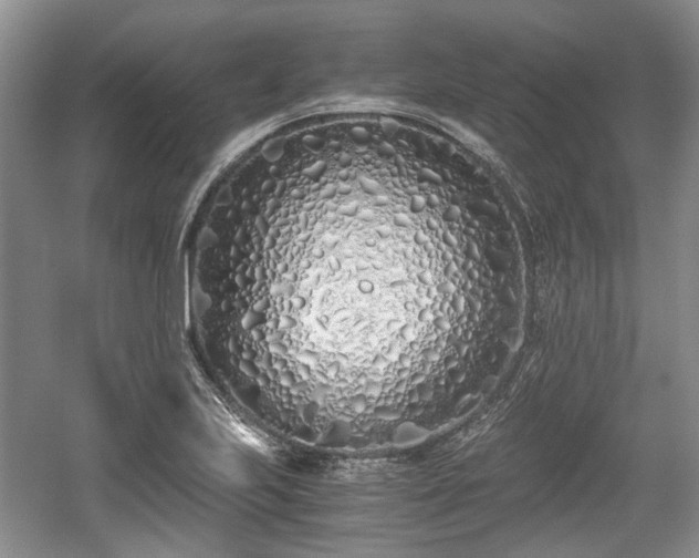 X0000059051223200510101003