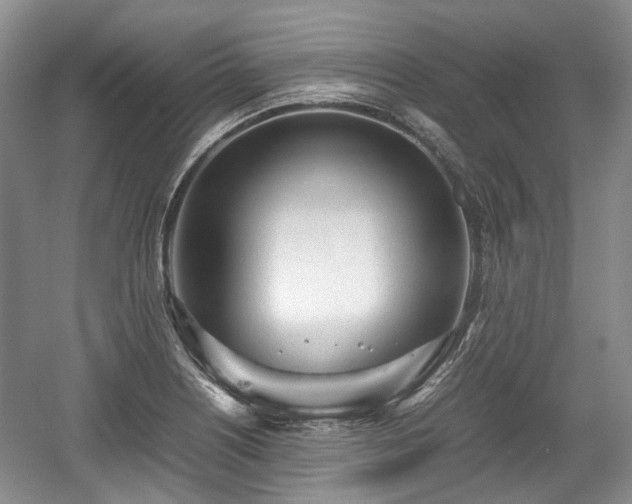 X0000059051226200510101003