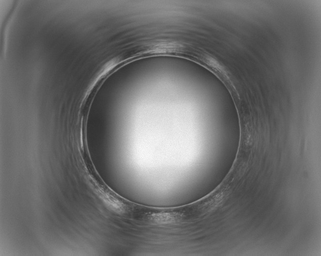 X0000059051227200510101003