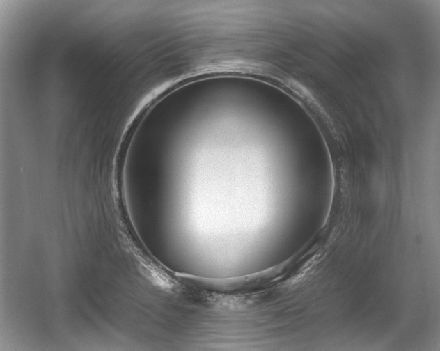 X0000059051230200510101003