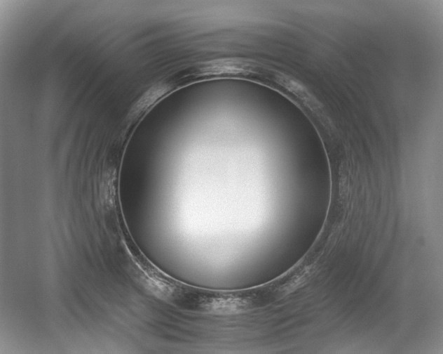 X0000059051233200510101003