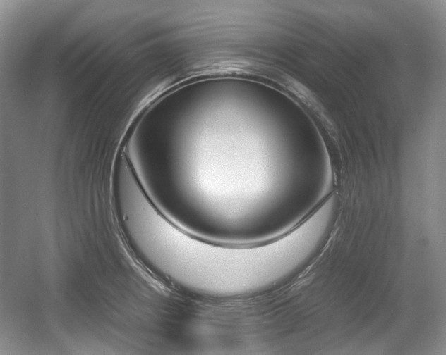 X0000059051234200510101003