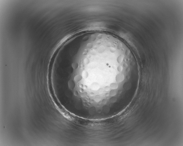 X0000059051237200510101003