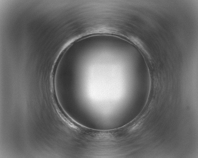 X0000059051238200510101003