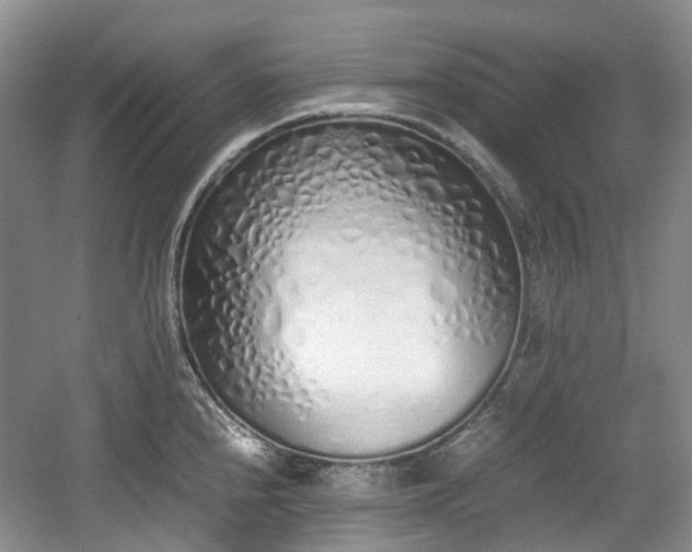 X0000059051240200510101003