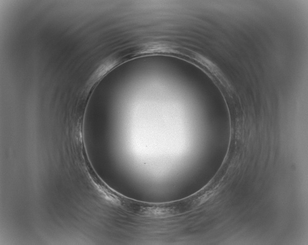 X0000059051241200510101003