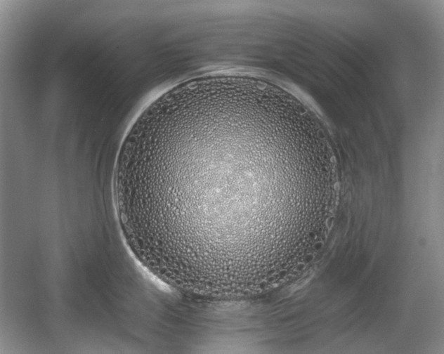 X0000059051247200510101003