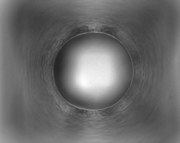 X0000059051249200510101003