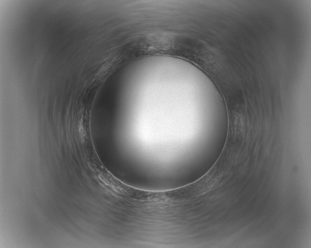 X0000059051250200510101003