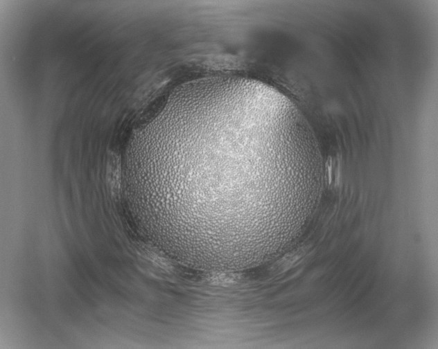 X0000059051251200510101003